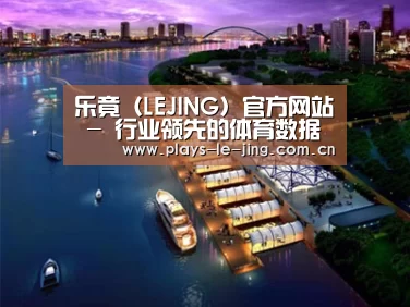 案例展示八