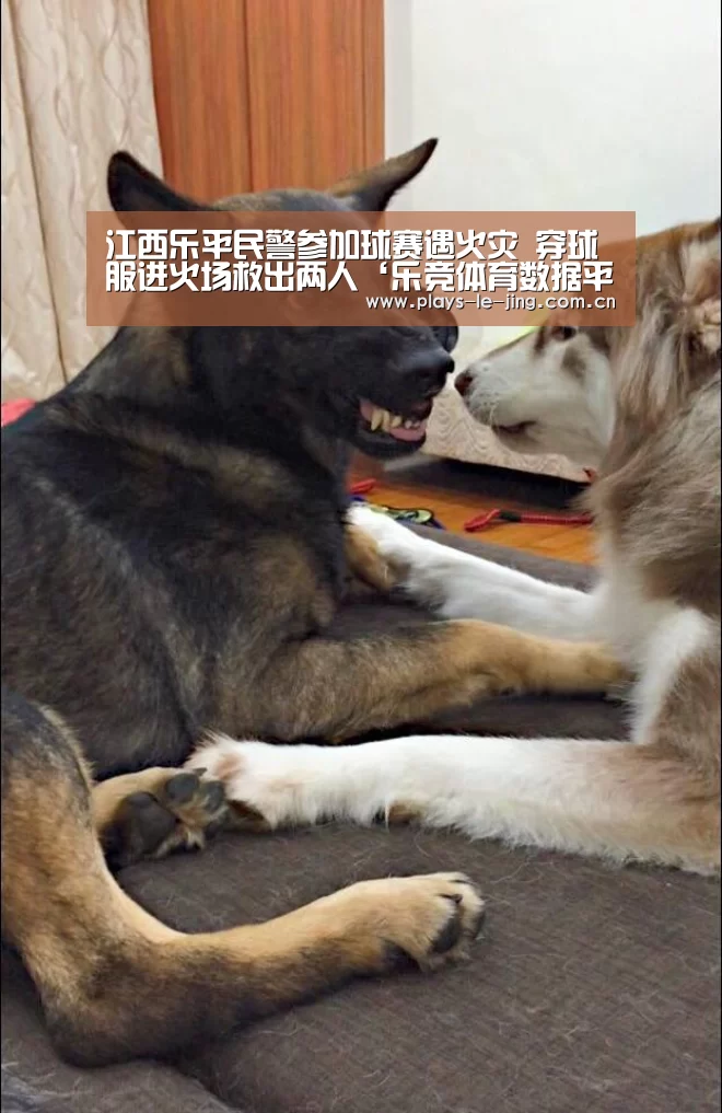 乐竞体育赛事分析